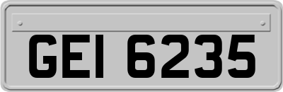 GEI6235