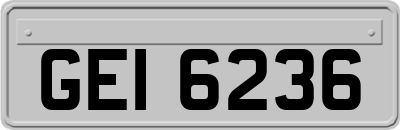 GEI6236