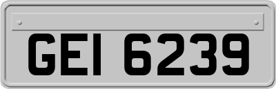 GEI6239
