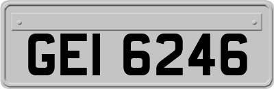 GEI6246