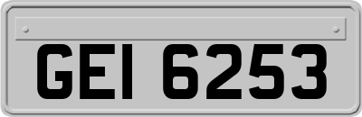 GEI6253