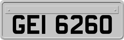 GEI6260