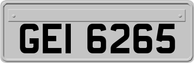 GEI6265