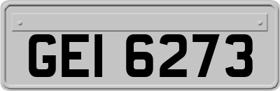 GEI6273