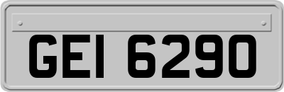 GEI6290