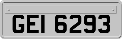 GEI6293