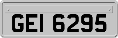 GEI6295