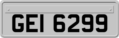 GEI6299