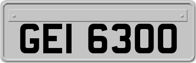 GEI6300