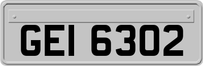 GEI6302