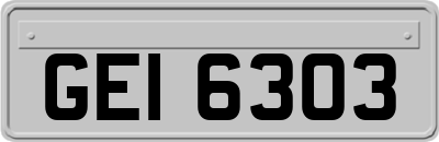 GEI6303