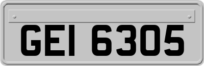 GEI6305