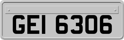 GEI6306