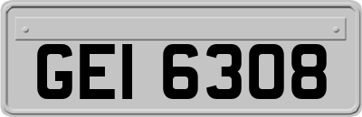 GEI6308