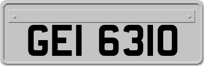 GEI6310
