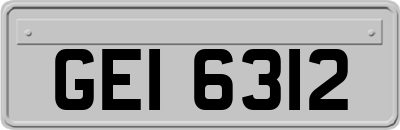 GEI6312