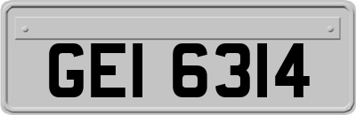 GEI6314