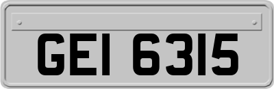 GEI6315
