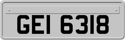 GEI6318