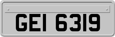 GEI6319