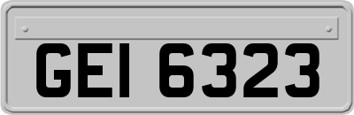 GEI6323