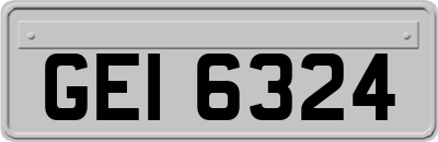 GEI6324