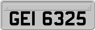 GEI6325