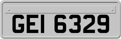 GEI6329