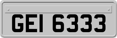 GEI6333