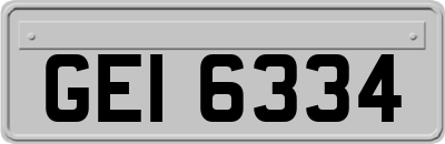 GEI6334