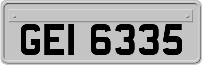 GEI6335