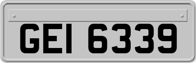 GEI6339