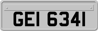 GEI6341