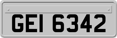 GEI6342