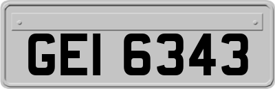 GEI6343