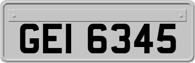 GEI6345