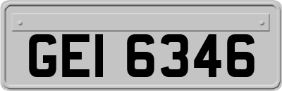 GEI6346
