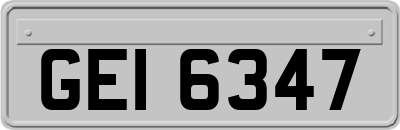 GEI6347