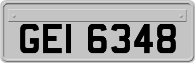 GEI6348