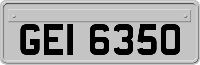 GEI6350