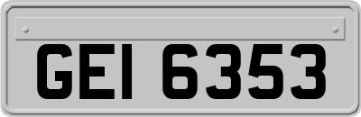 GEI6353
