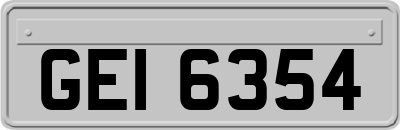 GEI6354