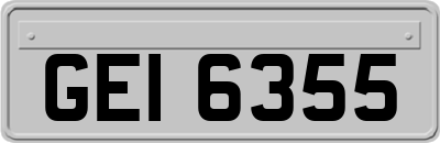 GEI6355
