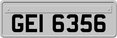 GEI6356