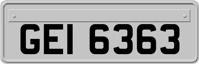 GEI6363
