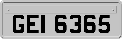 GEI6365