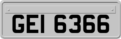 GEI6366
