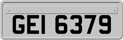 GEI6379