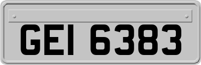 GEI6383