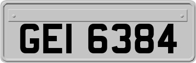 GEI6384